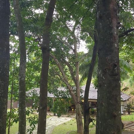 Villa D55 康提 外观 照片