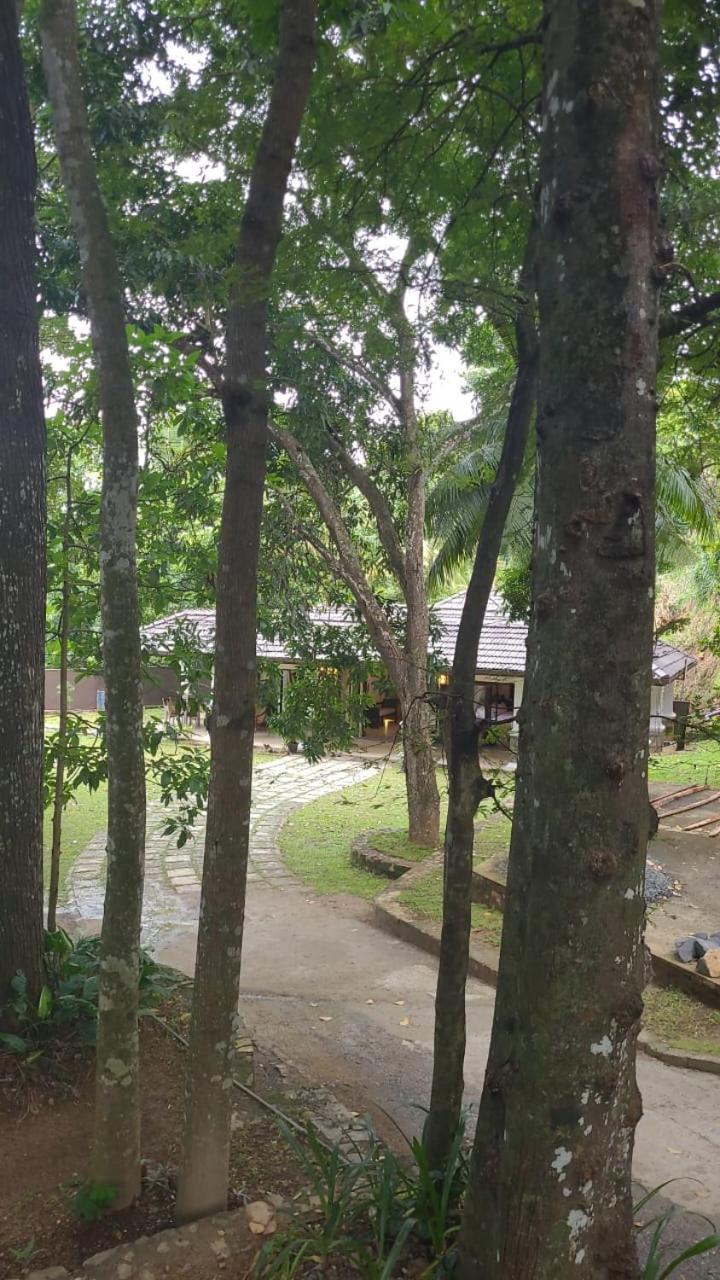 Villa D55 康提 外观 照片