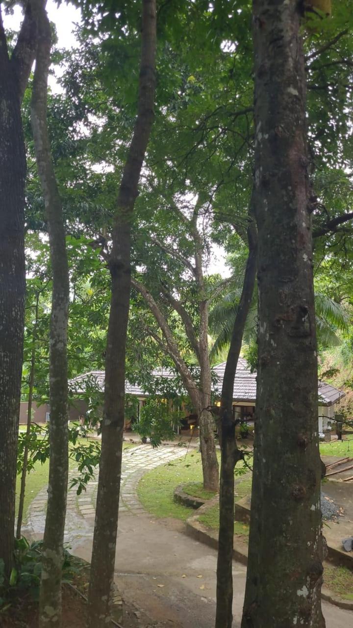 Villa D55 康提 外观 照片